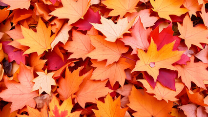 Fototapeta premium Bright orange and red maple leaves scattered in autumn season, Generative AI