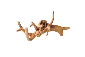 Old dry driftwood tree branch on an isolated white background close-up
