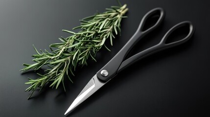 Sleek black kitchen shears, resting beside a sprig of rosemary, a minimalist tool and nature's beauty.