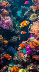 Naklejka premium A cluster of clownfish exploring vibrant corals and anemones amidst colorful underwater scene