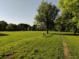 footpath in the park