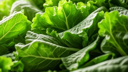 Fototapeta premium Fresh and vibrant green leafy vegetables