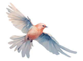 PNG Bird animal flying wildlife.