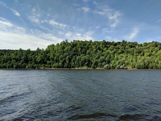 the river in the forest