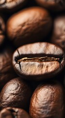 Close-up of coffee beans, macro lens