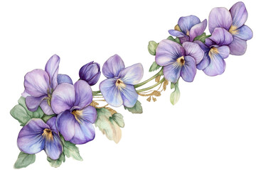Fototapeta premium A beautiful illustration of violets, showcasing delicate petals and rich colors, perfect for nature and floral themes, transparent background.