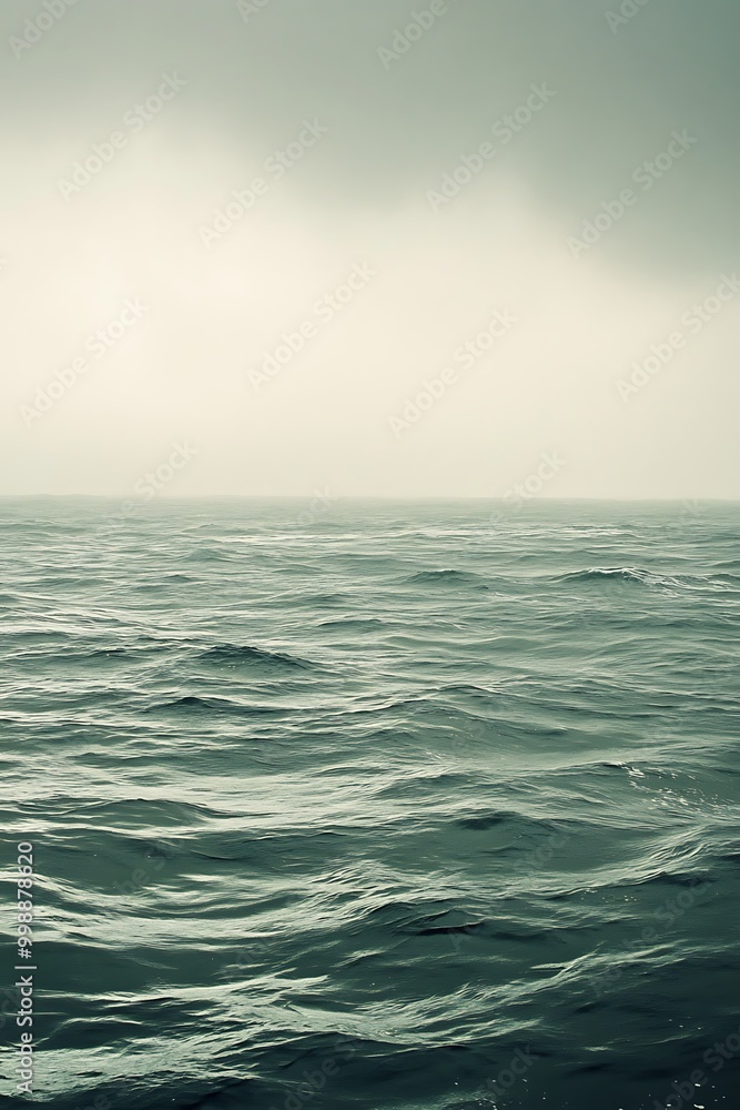 Poster a subtle green-to-white gradient backdrop with seamless blending of colors, providing a tranquil and