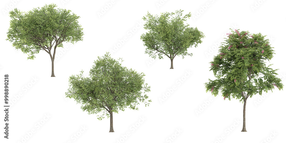 Poster 3d rendering of locusts,cassia javanica trees on transparent background
