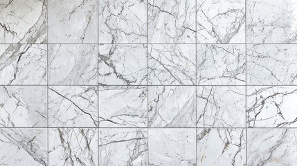 Elegant white marble tiles featuring subtle gray veins, offering a luxurious yet minimalist aesthetic. The square tiles create a seamless design with nearly invisible grout lines for a modern look.