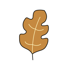 Fototapeta premium Hand drawn autumn leaf