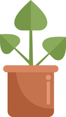 Minimalist flat vector illustration featuring a green plant with three leaves growing in a terracotta pot, isolated on a white background