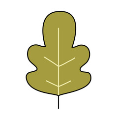 Hand drawn autumn leaf