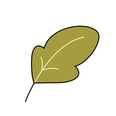 Hand drawn autumn leaf