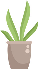 Decorative potted plant growing long green leaves, perfect for adding a touch of nature to your home