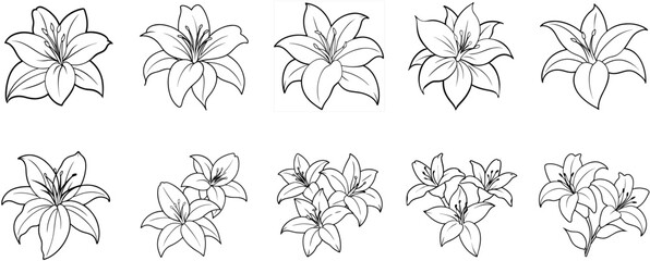 Abstract lines, various lily patterns