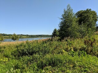 landscape with trees and blue sky