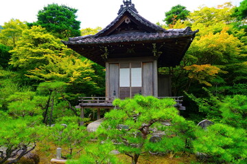 Arashiyama: the wonderful place near Kyoto