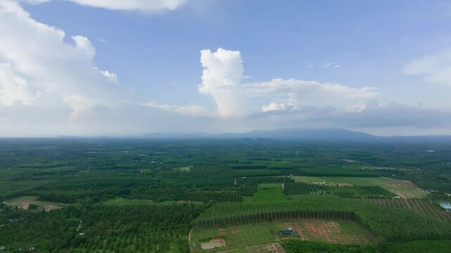 Aerial View of Expansive Agricultural Land With Irrigation Systems and Landscape Features in Lush Greenery
