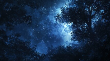 Fototapeta premium Night Sky Through Silhouetted Forest Trees