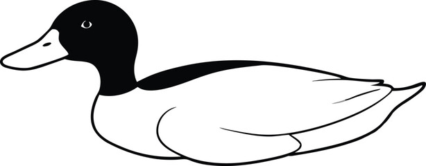 Vector Illustration of a Duck in Clear Tranquil Waters
