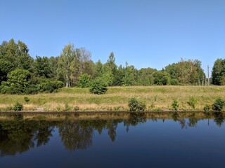 Fototapeta premium lake in the forest