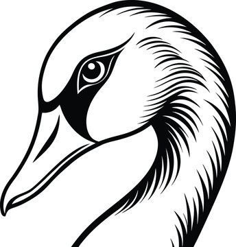 recommend clip art: Line art duck head captured in a stunning close up vector illustration
                    