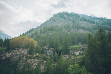 mountain forest landscape. Mountain valley with rocky terrain and forest in the foreground against a cloudy sky. Pontechianale, Italy.