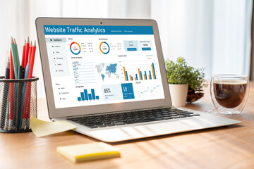 Computer software for website traffic analytics data on computer screen. Concept of SEO search engine optimization and customer targeting for online business snugly