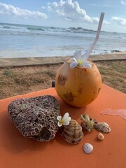 coconut on the beach