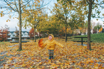 A little boy playing in the fall leaves. 