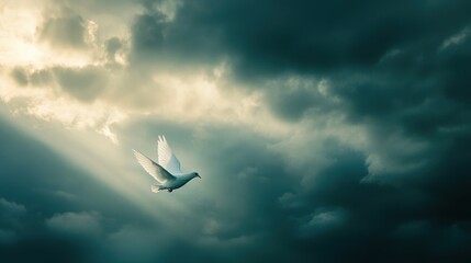 A white dove flying through a stormy sky, rays of sunlight and dark clouds, peace overcoming conflict