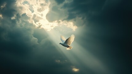 A white dove flying through a stormy sky, rays of sunlight and dark clouds, peace overcoming conflict