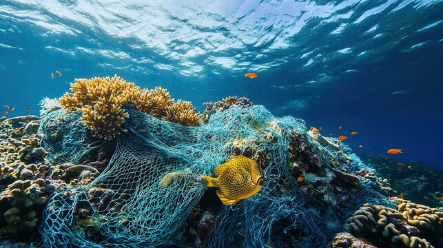 Yellow fish trapped in net on vibrant coral reef