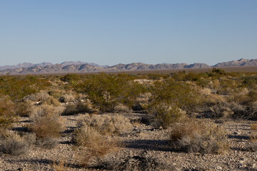 Las Vegas Desert with Mountains in background