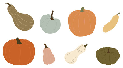 Set of fresh autumn vegetables. Orange pumpkin, gourd, green and yellow squashes, and zucchini. Variety of fall harvest.