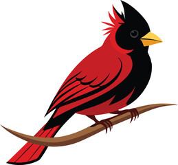 set of black and white birds 