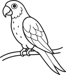 set of black and white birds and parrot 