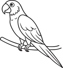 set of black and white birds and parrot 