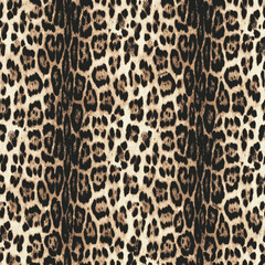 Seamless hand drawn leopard pattern, detail
