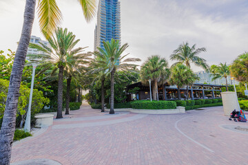 Scenic palm tree path and modern high-rise building on Ocean Drive in Miami Beach.
