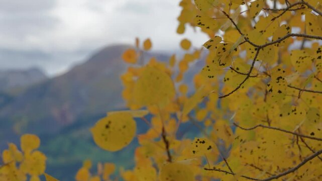 Autumn Fall Season In the Mountains