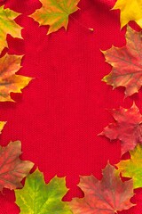 Frame of multicolored maple leaves on red knited background; copy space; Greeting card template