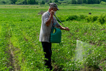 treatment of potato plants from pests, wireworm and Colorado potato beetle, crop protection with a sprayer