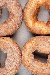 Delicious apple cider cinnamon sugar fall donut