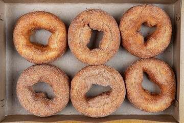 Delicious apple cider cinnamon sugar fall donut