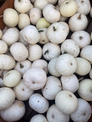Pile of mini white pumpkins in the fall