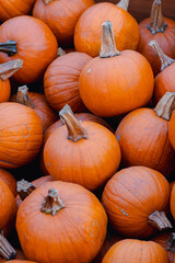 Orange pumpkins at outdoor farmer market