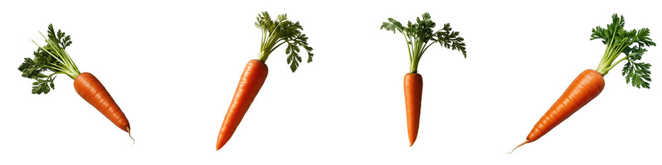 Carrot PNG isolated on transparent and white background