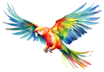 Fototapeta premium PNG Parrot animal bird creativity.