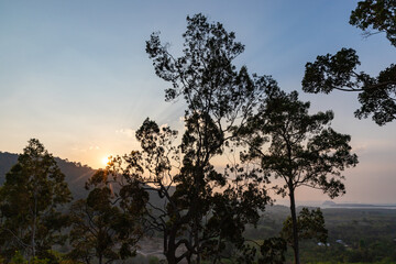 Obraz premium Silhouette photo of the trees at Din Dang Doi view point at sunset, Krabi province, Thailand